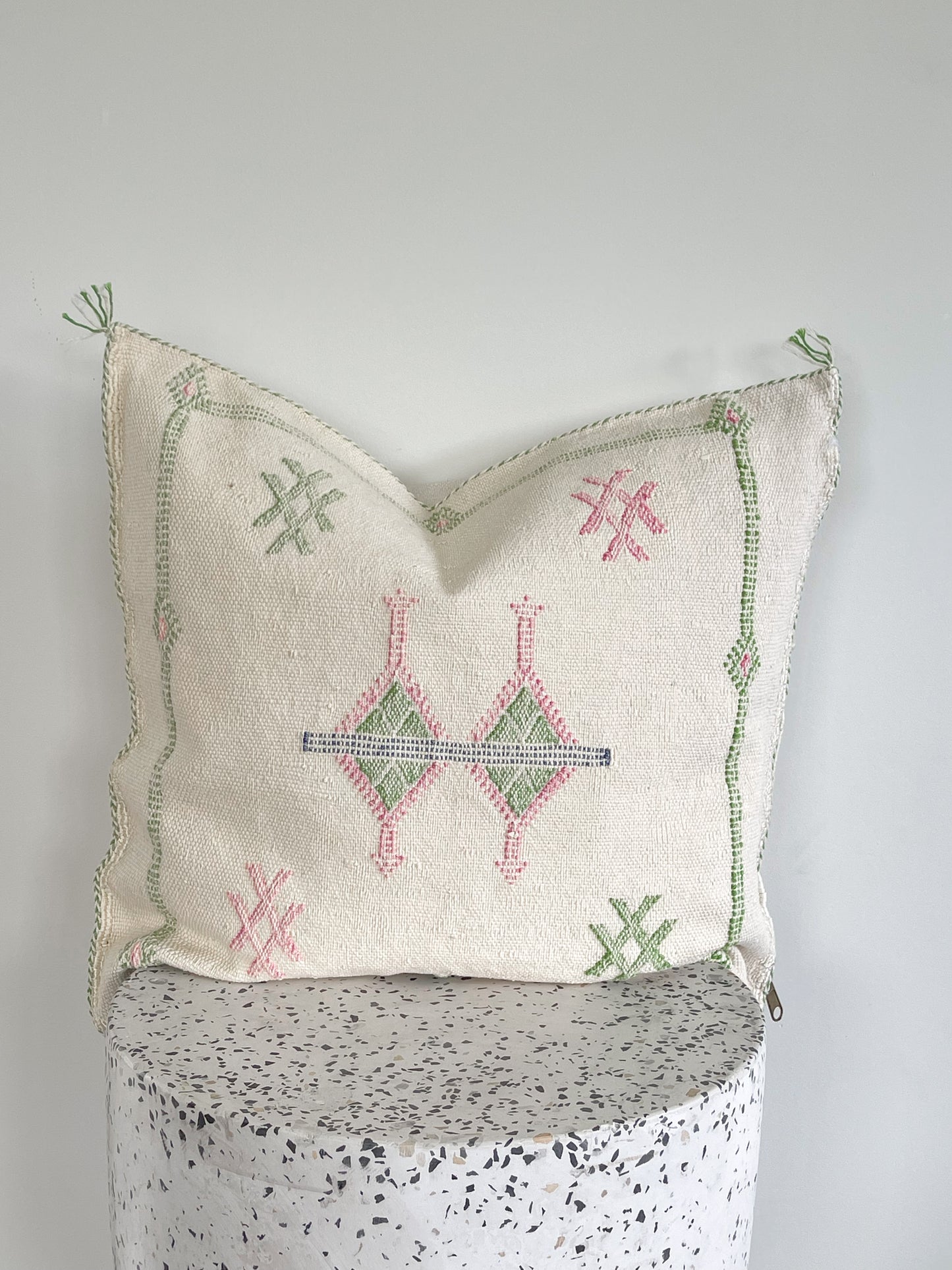 Cactus Silk Cushion